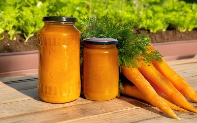 Möhre Pur oder Karottensuppe nach Prof. Ernst Moro